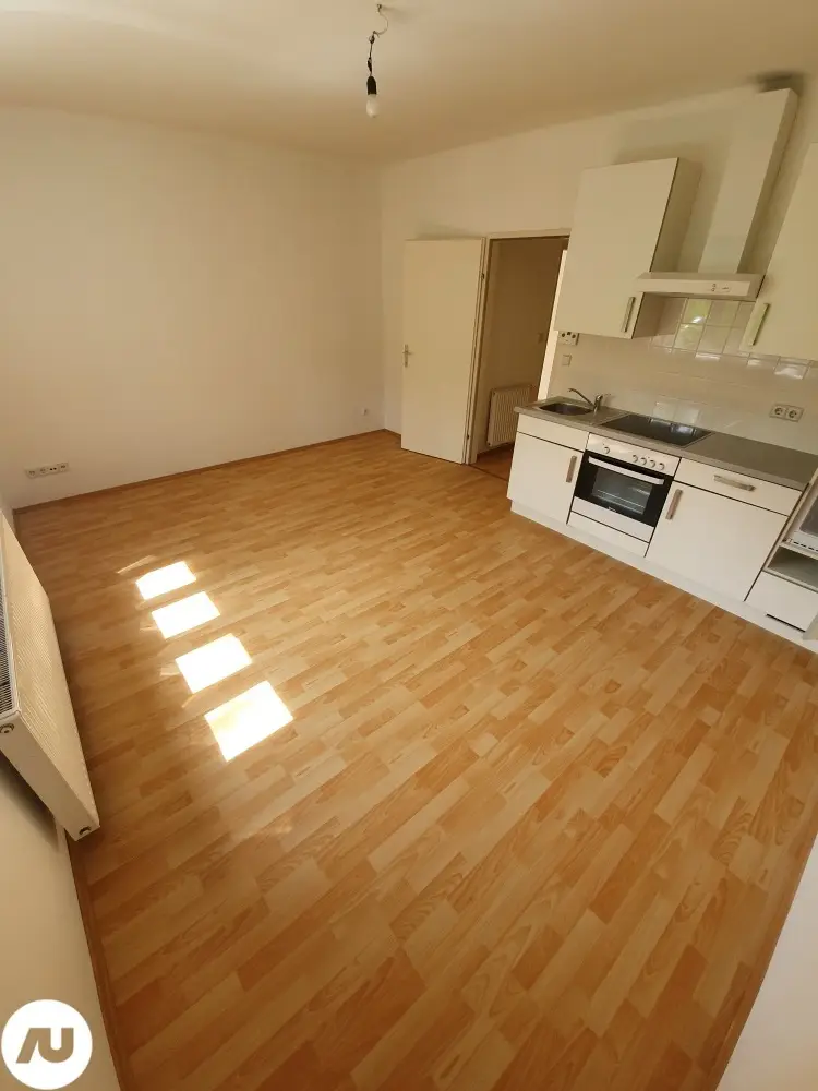 Saniert und lichtdurchflutet Wohnung in ruhiger Grünlage