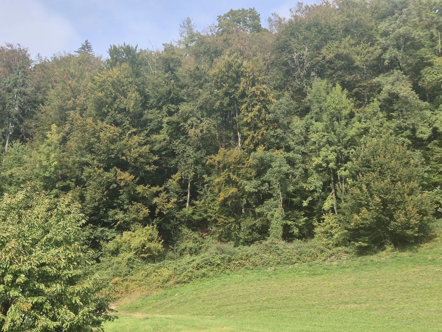Neubauwohnung in ruhiger Grünlage vor den Toren der Stadt