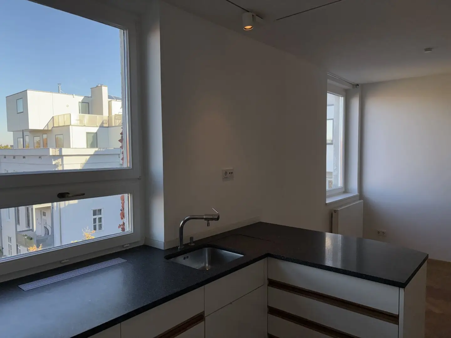 Entire Floor in the Embassy Quarter with View of Karlskirche and Stephansdom