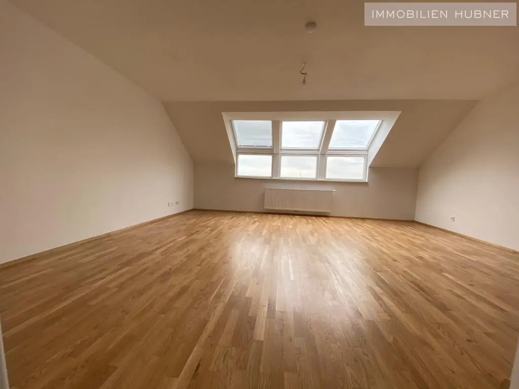 Bright, top renovated Wohnung with lift and open kitchen