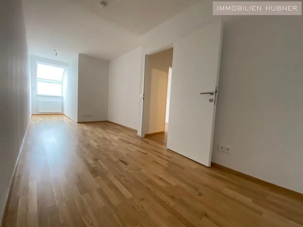 Bright, top renovated Wohnung with lift and open kitchen