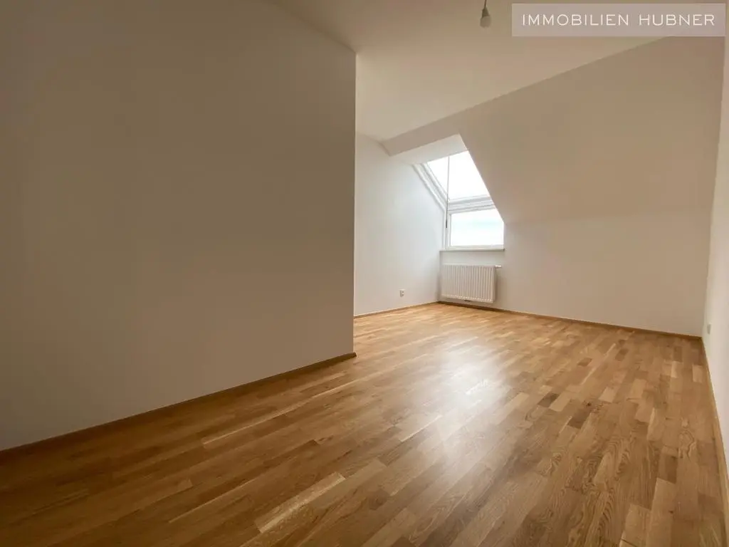 Bright, top renovated Wohnung with lift and open kitchen