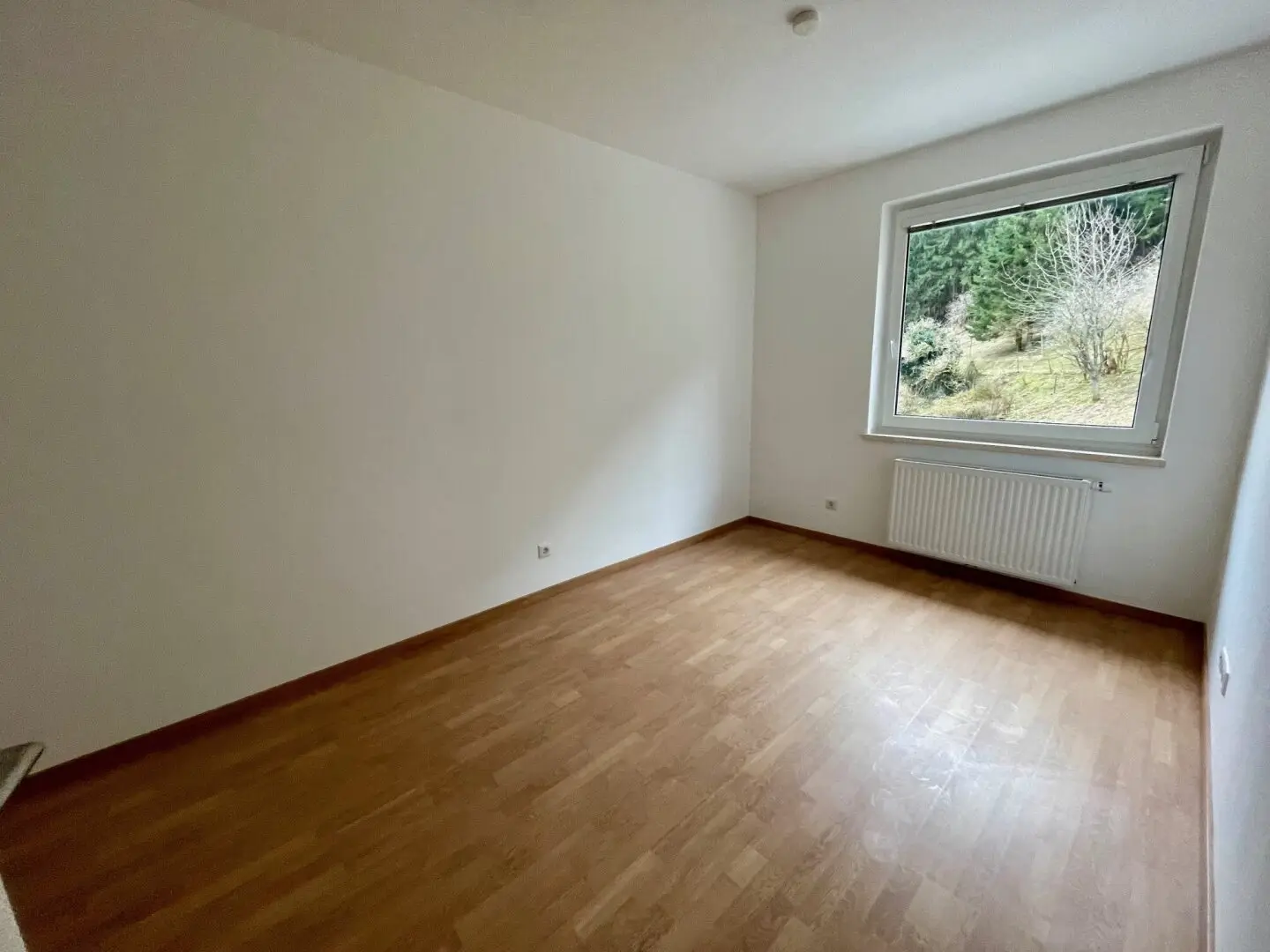 Immobilienbild 4