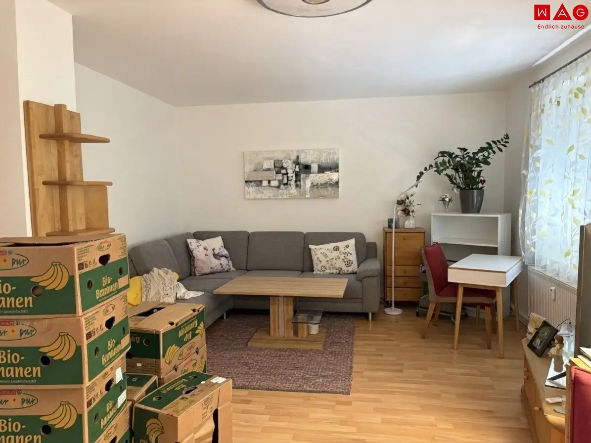 Your place between city and nature – bright 3-room apartment in Steyr-Münichholz with thoughtful floor plan, cozy living atmosphere and perfect connections for relaxed living