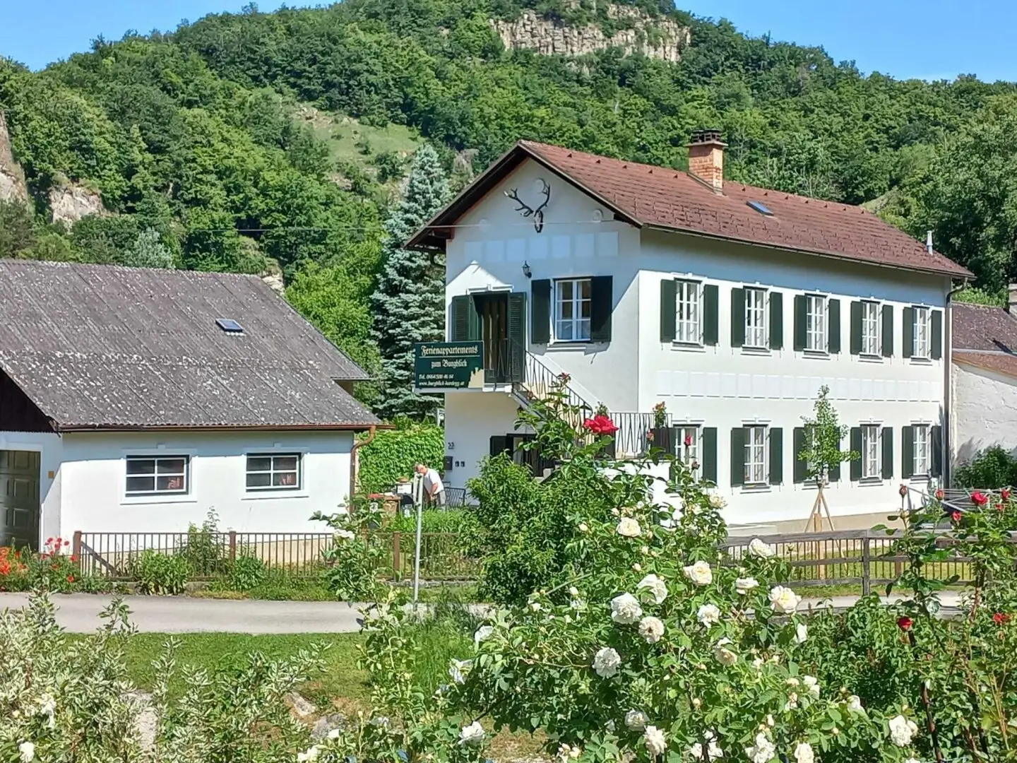Rental apartment in a paradise of tranquility in the middle of Thayathal National Park