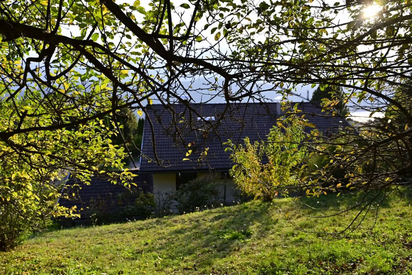 Spacious family apartment with lake and alpine views and large garden