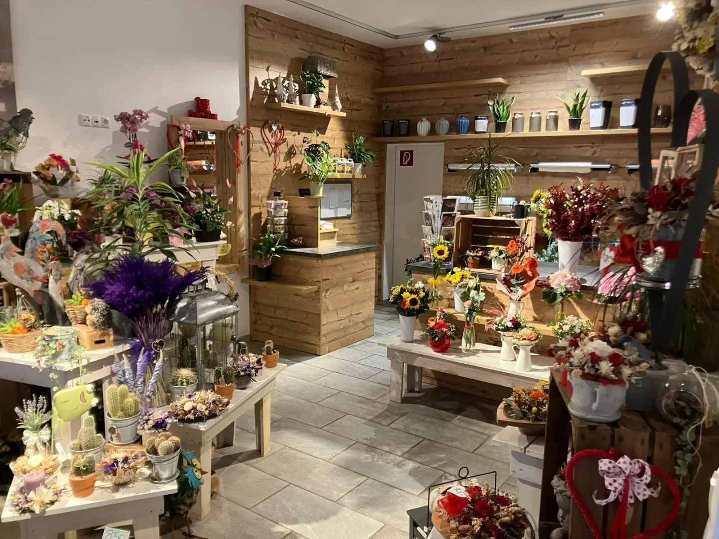 Hallein: Vielseitig nutzbare Gewerbehalle mit Showroom