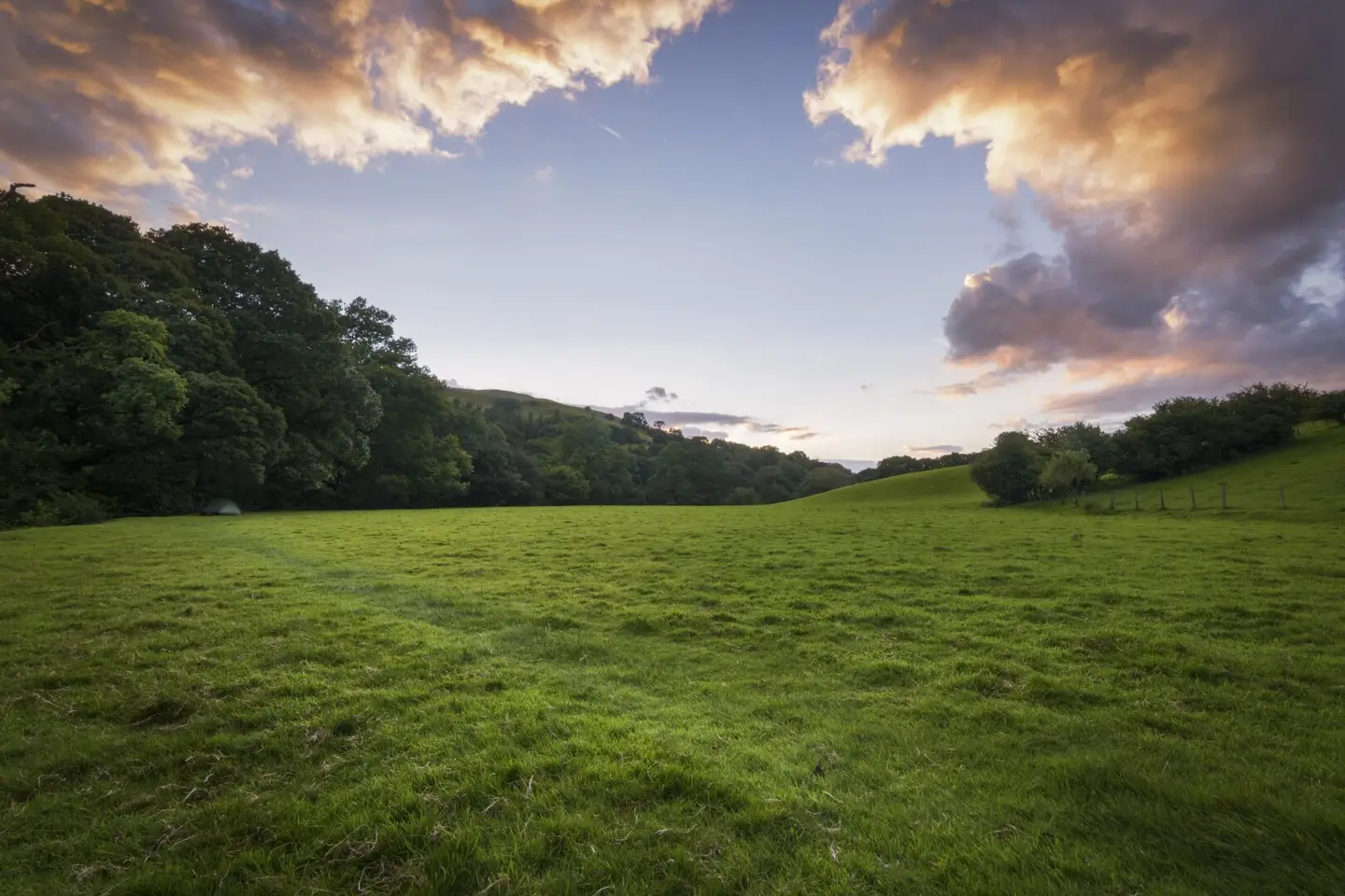 5.8 ha meadow I 3 to 4 cuts