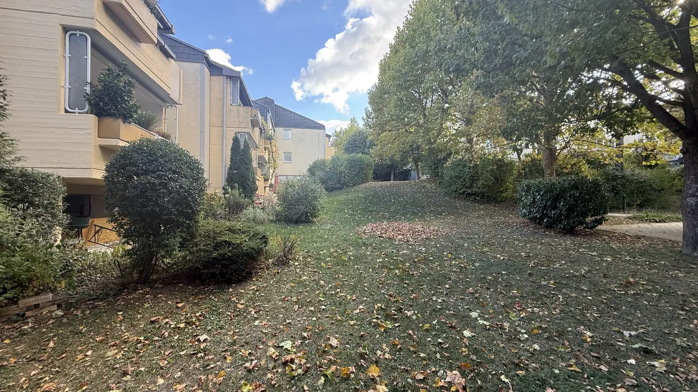 One-room apartment with design kitchen and courtyard-facing loggia in quiet green location available from 01.11.2026 for rent