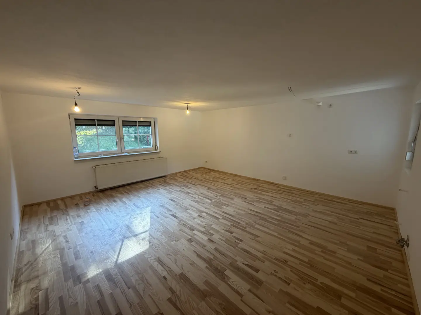 Wohn- Esszimmer