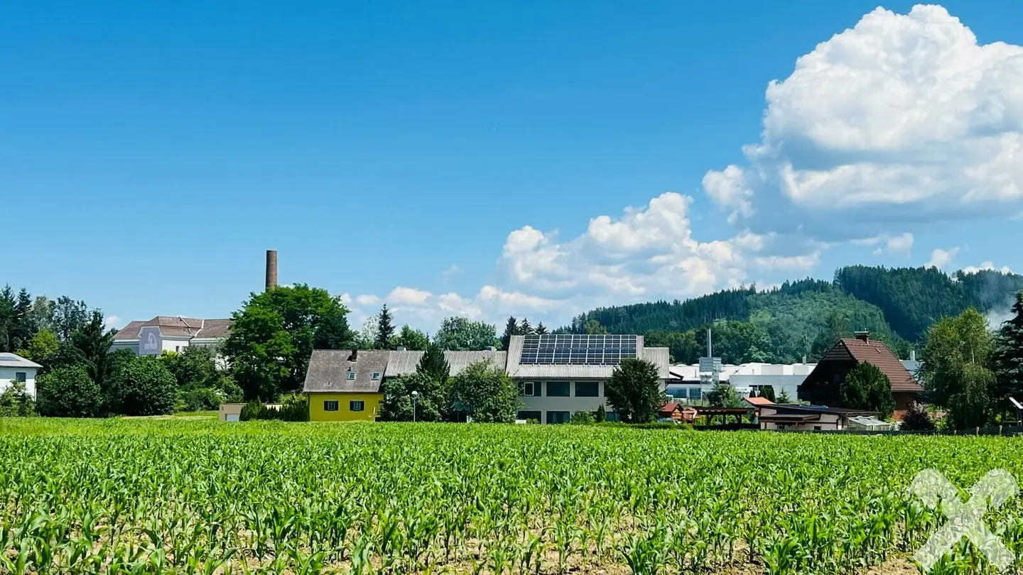 Sonniger Baugrund am Ortsrand Grundstück