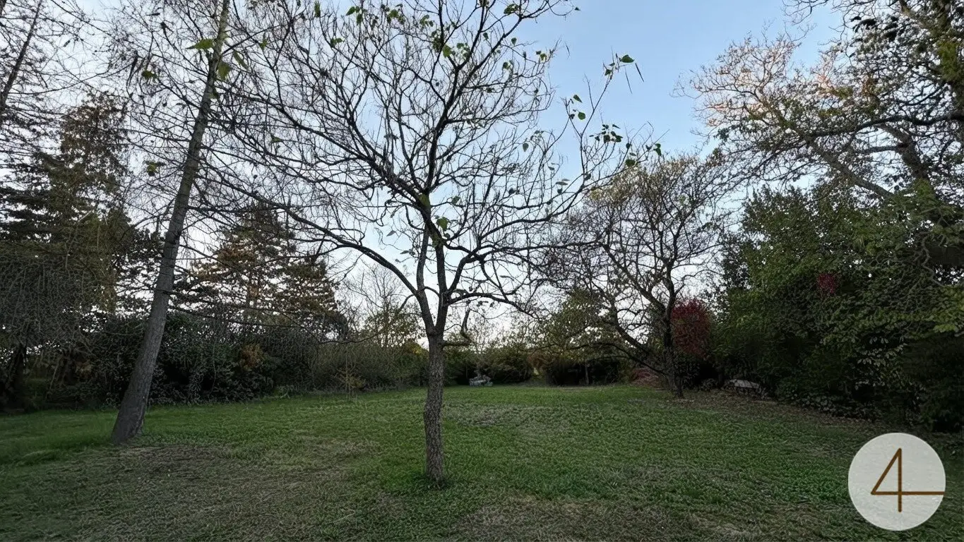 Immobilienbild 3