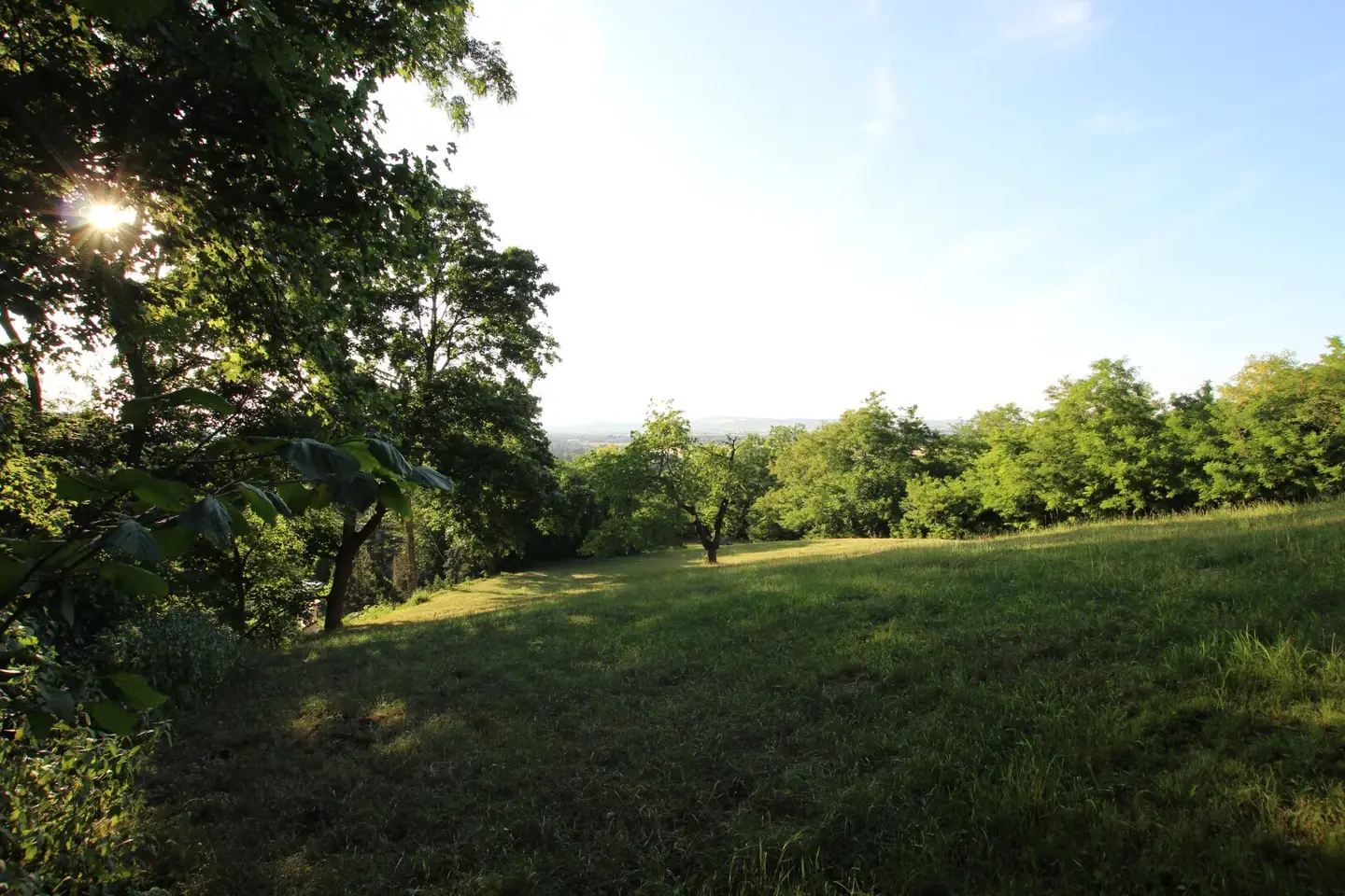 Dreamlike Distant View, Rarity, Quiet Green Location, Exclusive Building Plot in Bisamberg