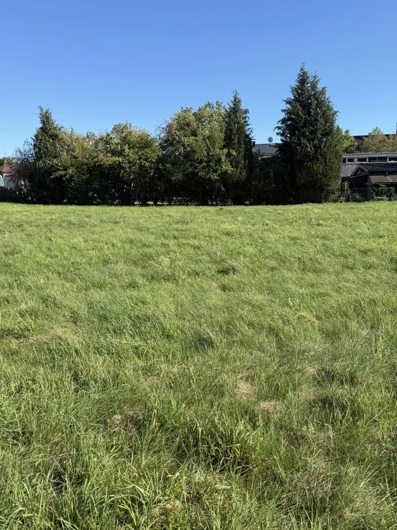 Grundstück(e) in zentraler Lage um nur 160.000 €!