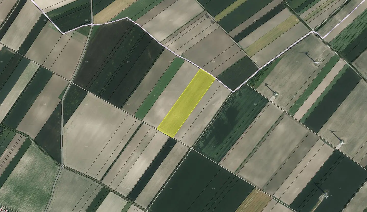 Ackerflächen in Höflein bei Bruck an der Leitha zum Kauf