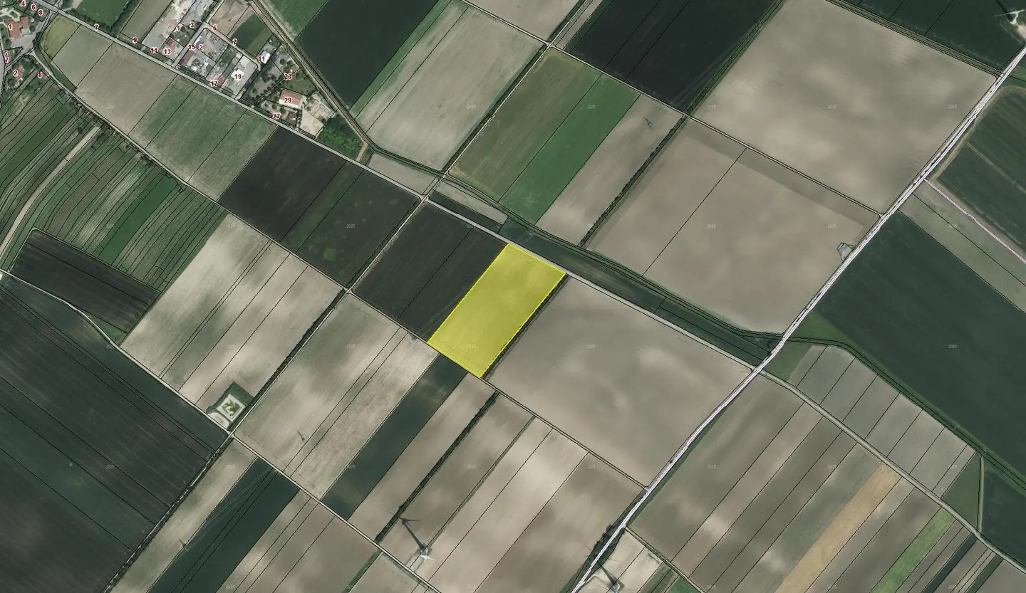 Ackerflächen in Höflein bei Bruck an der Leitha zum Kauf