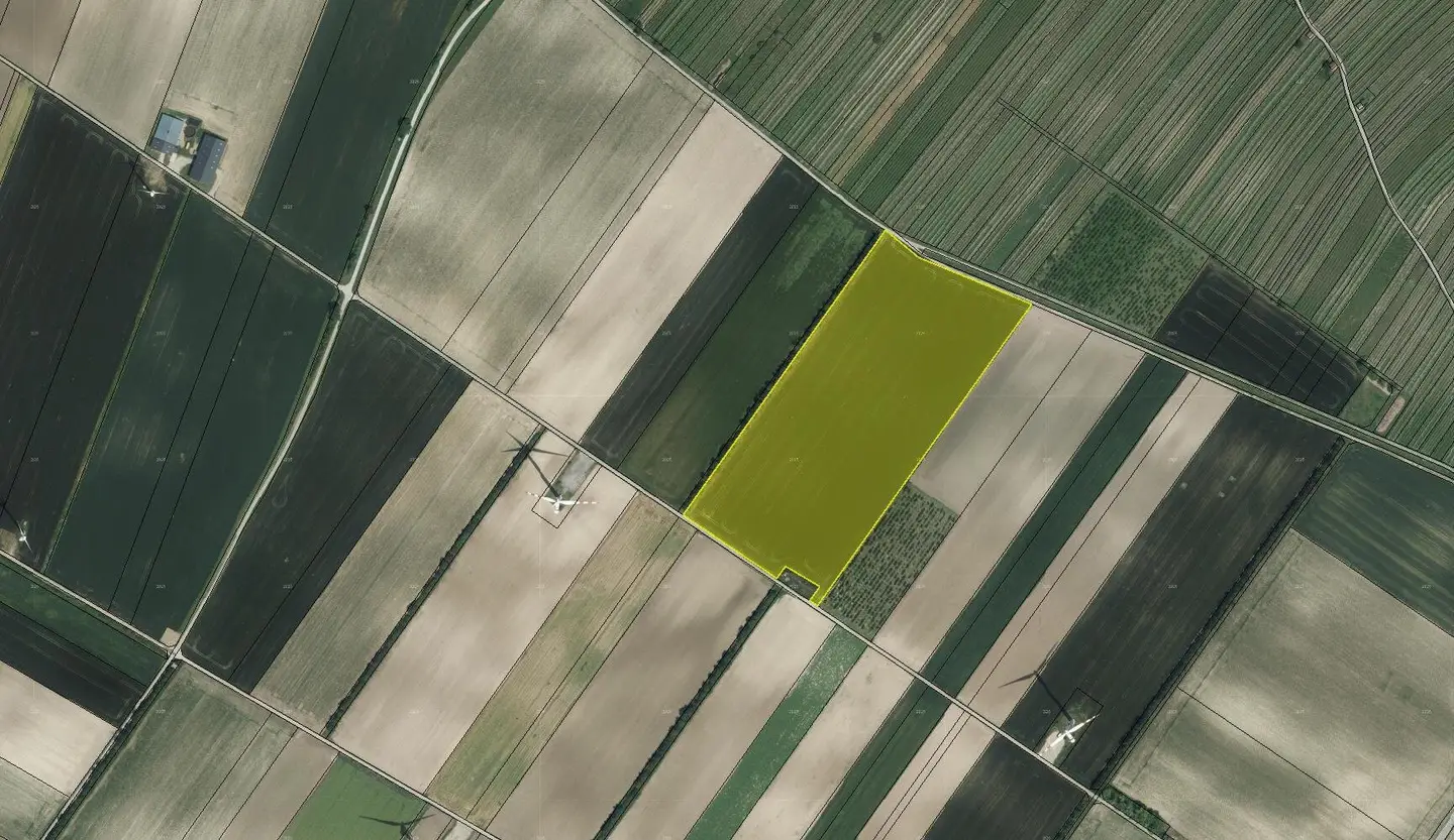 Ackerflächen in Höflein bei Bruck an der Leitha zum Kauf