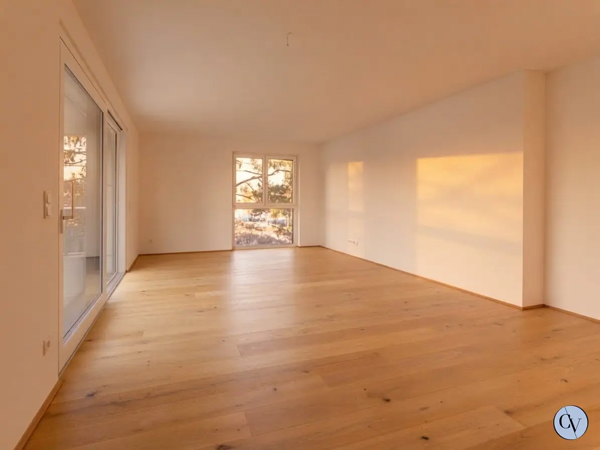 Sonnenuntergang am eigenen Balkon - bei der Alten Donau!