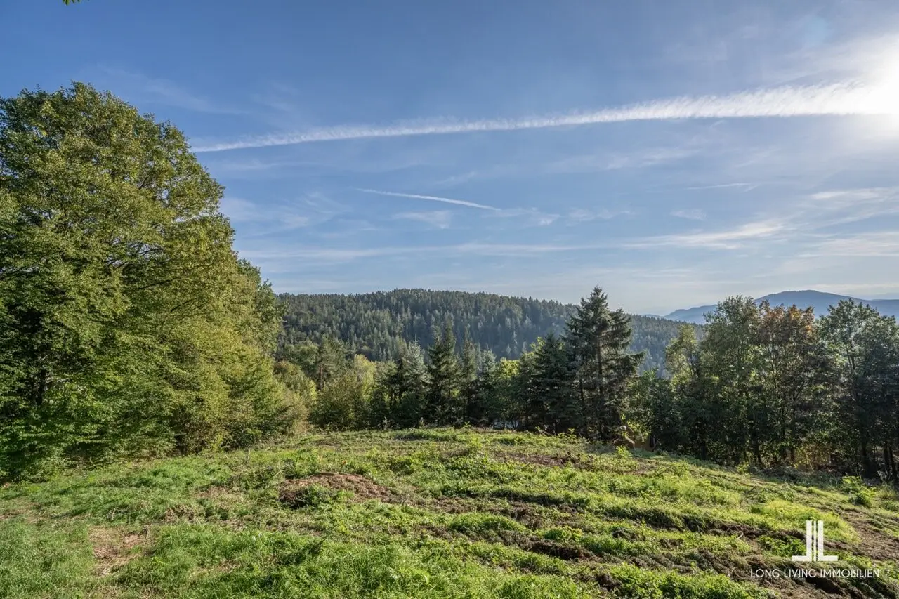 Traumhaftes Baugrundstück in sonniger Ruhelage | Südwestausrichtung &amp; Weitblick