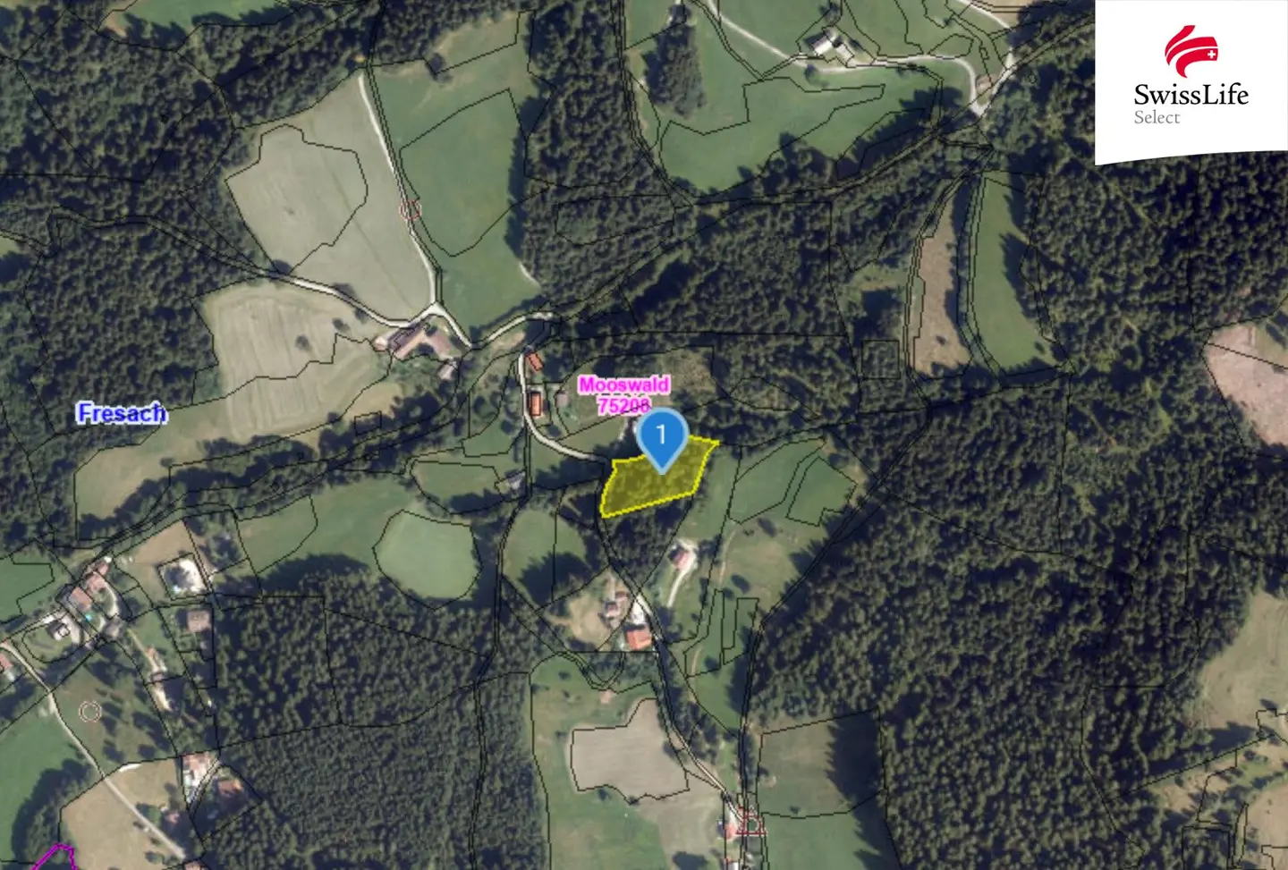 Large leisure plot 3628m² in Carinthia – Your nature oasis awaits!