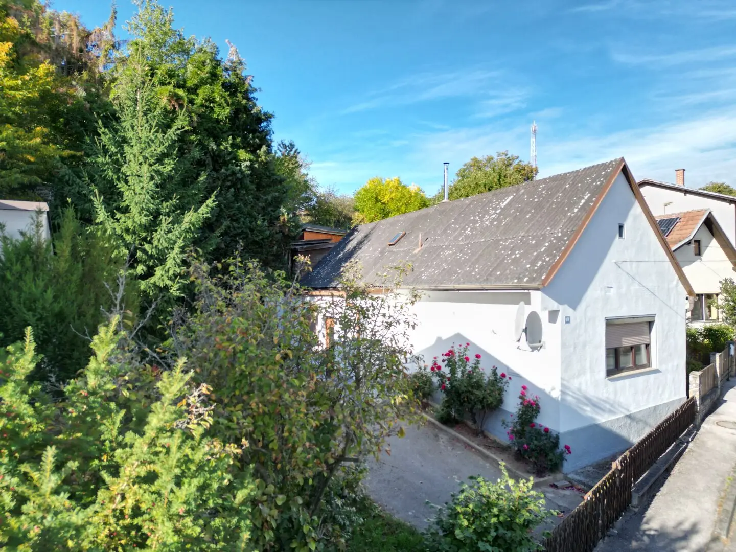 Immobilienbild 2