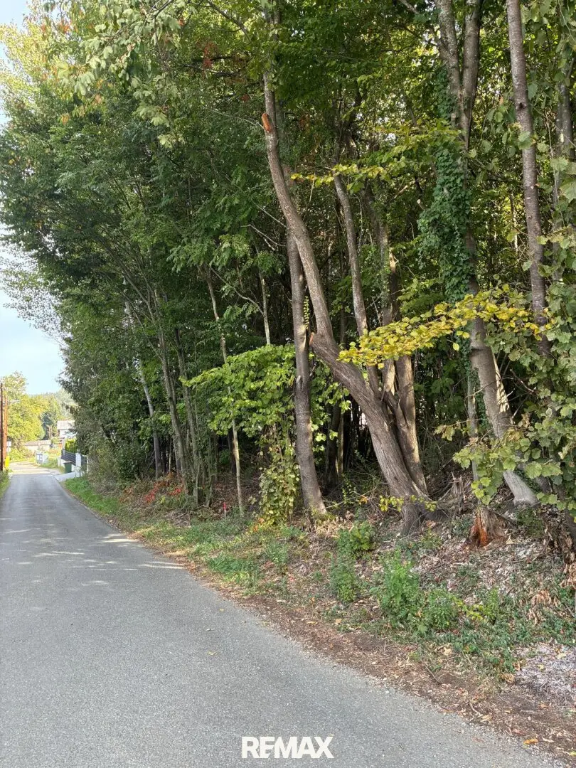 Wald am Stadtrand von Graz – 41.598 m² Natur als bleibender Wert