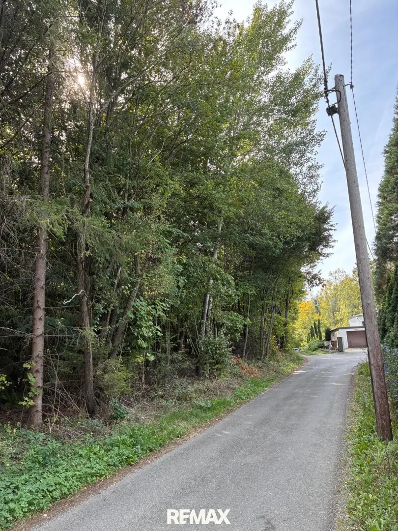 Wald am Stadtrand von Graz – 41.598 m² Natur als bleibender Wert