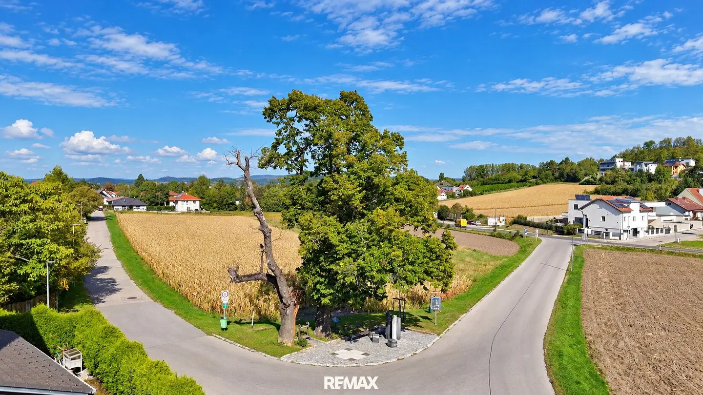"928m² Baugrund in der Gemeinde Bisamberg – neu aufgeschlossen"