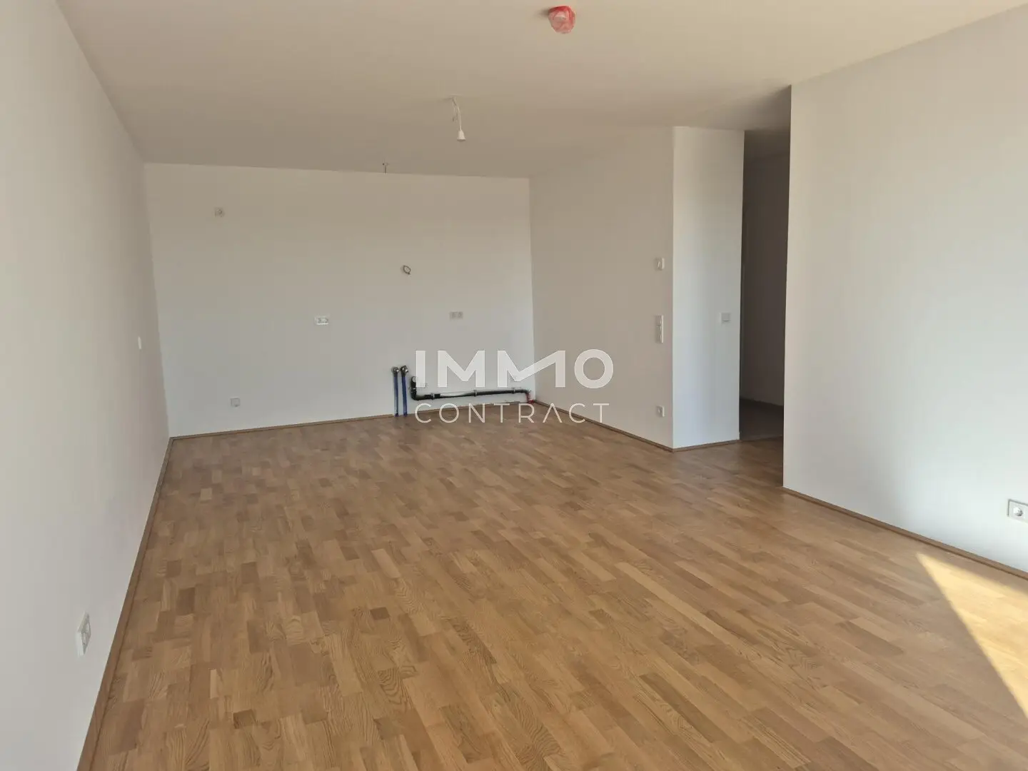 Immobilienbild 4