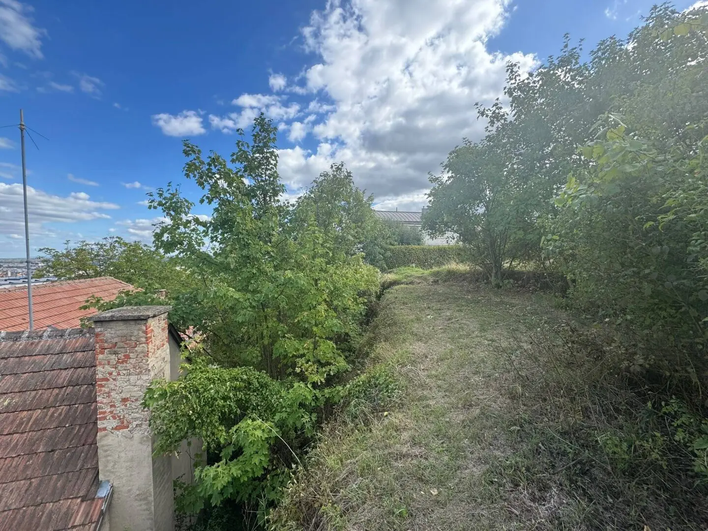 Immobilienbild 4