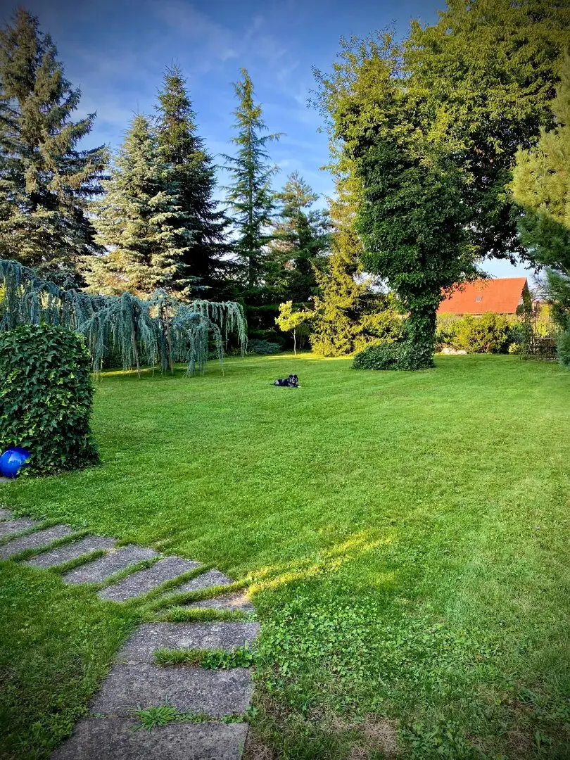 Immobilienbild 4