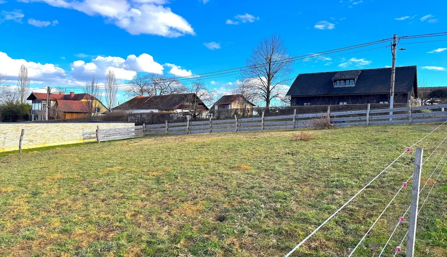 Immobilienbild 3