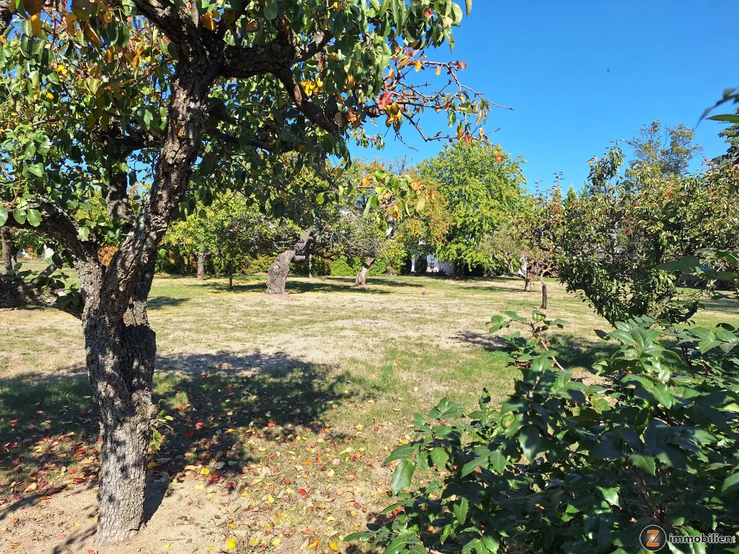 Immobilienbild 2