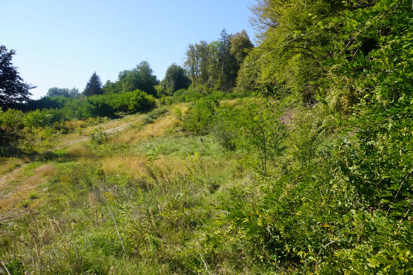 DSC01808