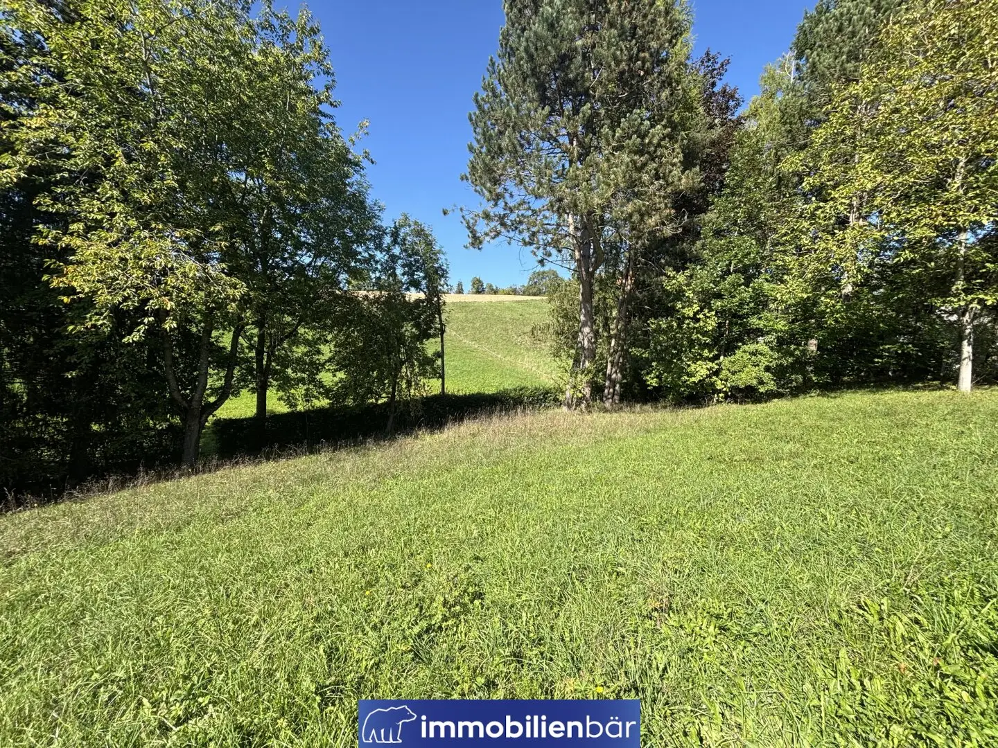Baugrundstück in naturnaher Lage in Riedau - Grundstück Nr. 2
