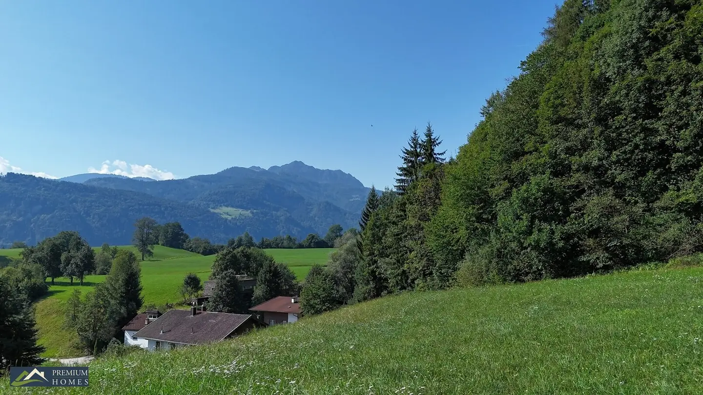 Immobilienbild 3