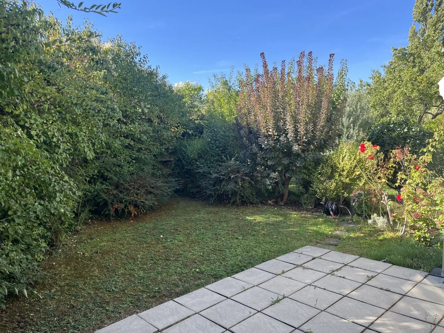 Fraungrubergasse - zentral begehbare 4 Zimmer Gartenwohnung zu vermieten