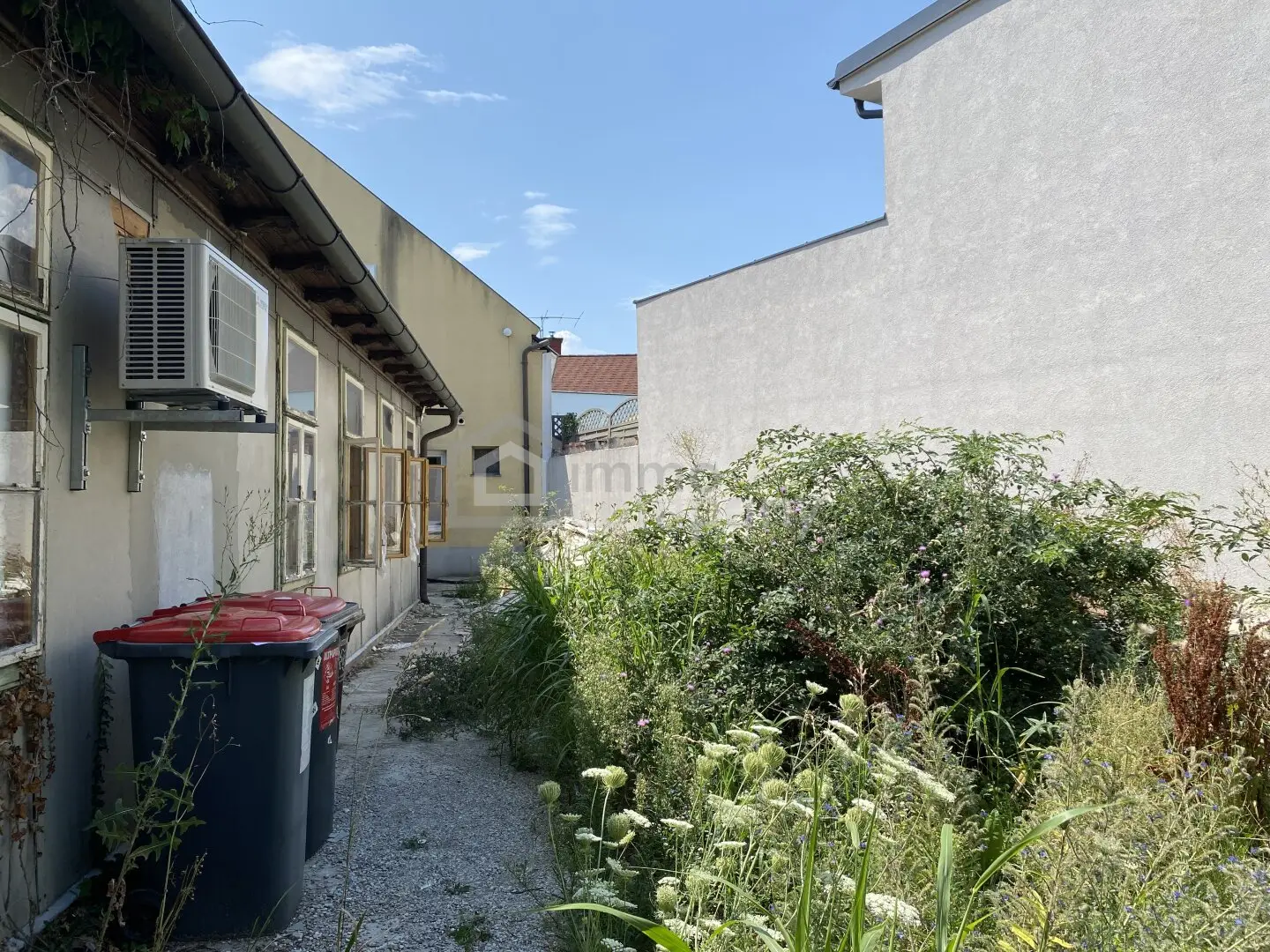 Immobilienbild 4
