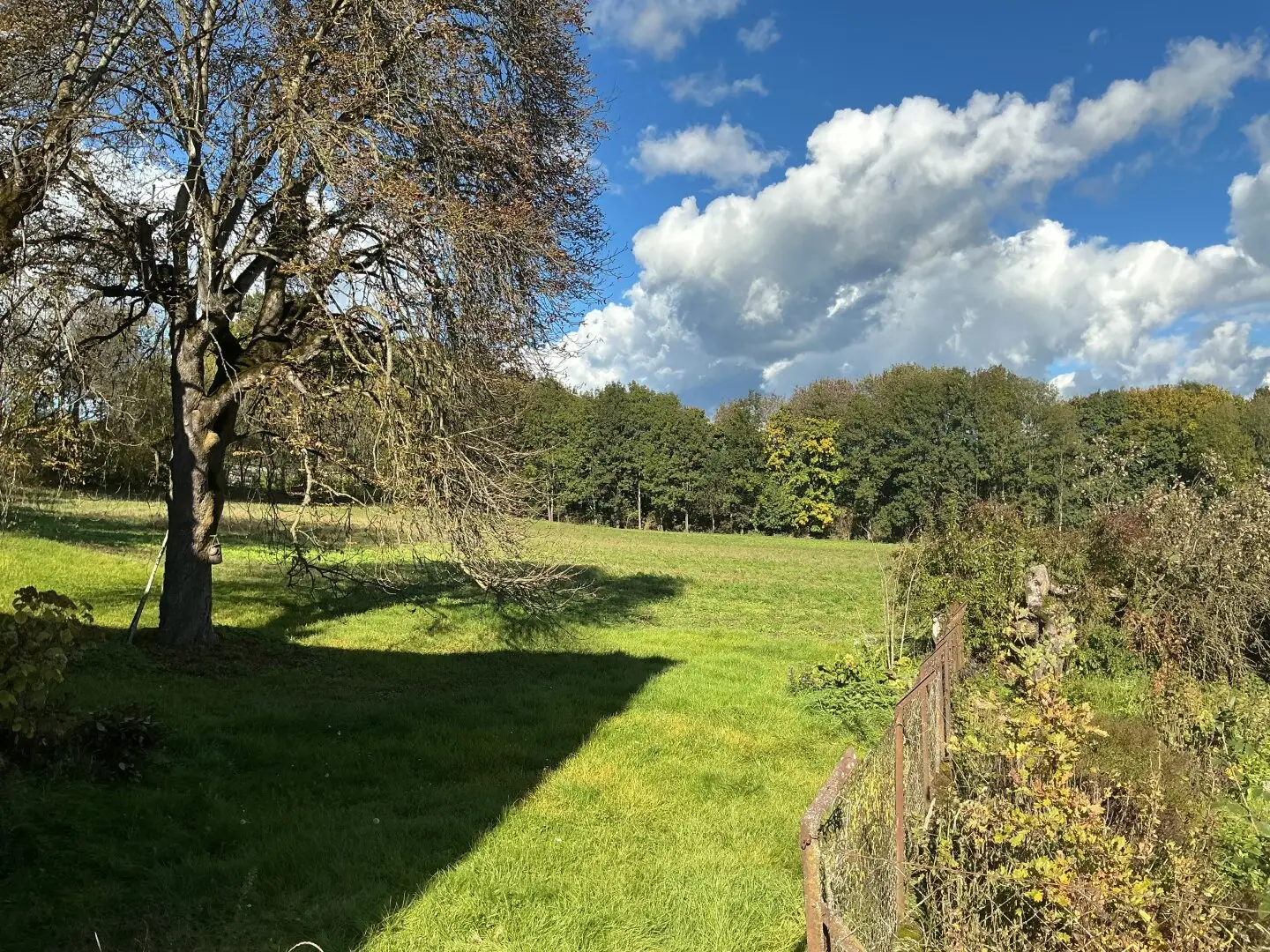 Immobilienbild 2