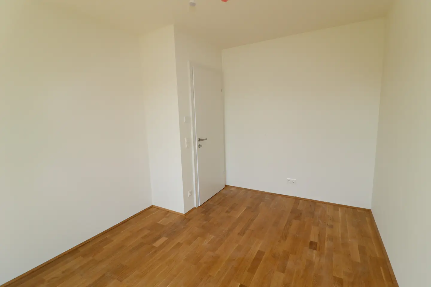 bearbeitet_IMG_3513