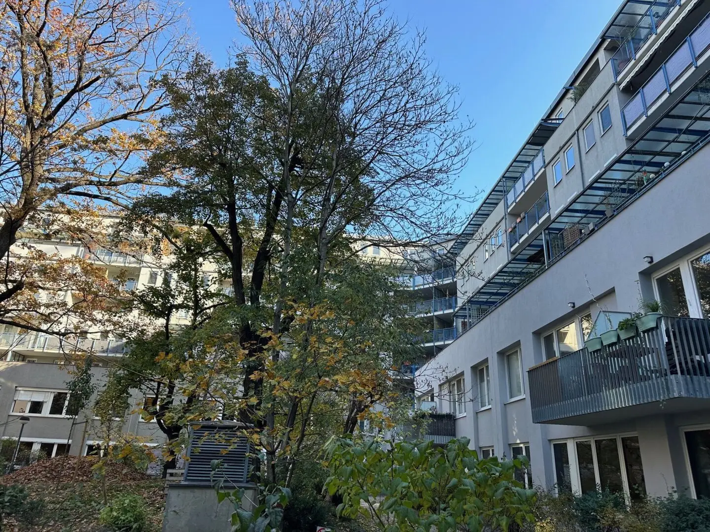 Immobilienbild 4