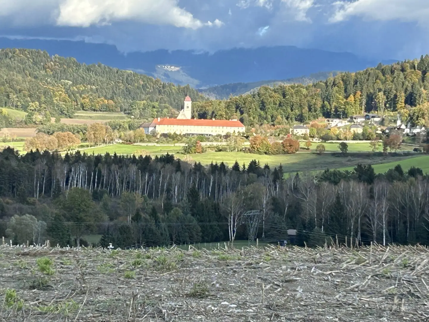 ca. 3,1 ha Acker, Wiese und Wald in St. Georgen am Längsee zu verkaufen