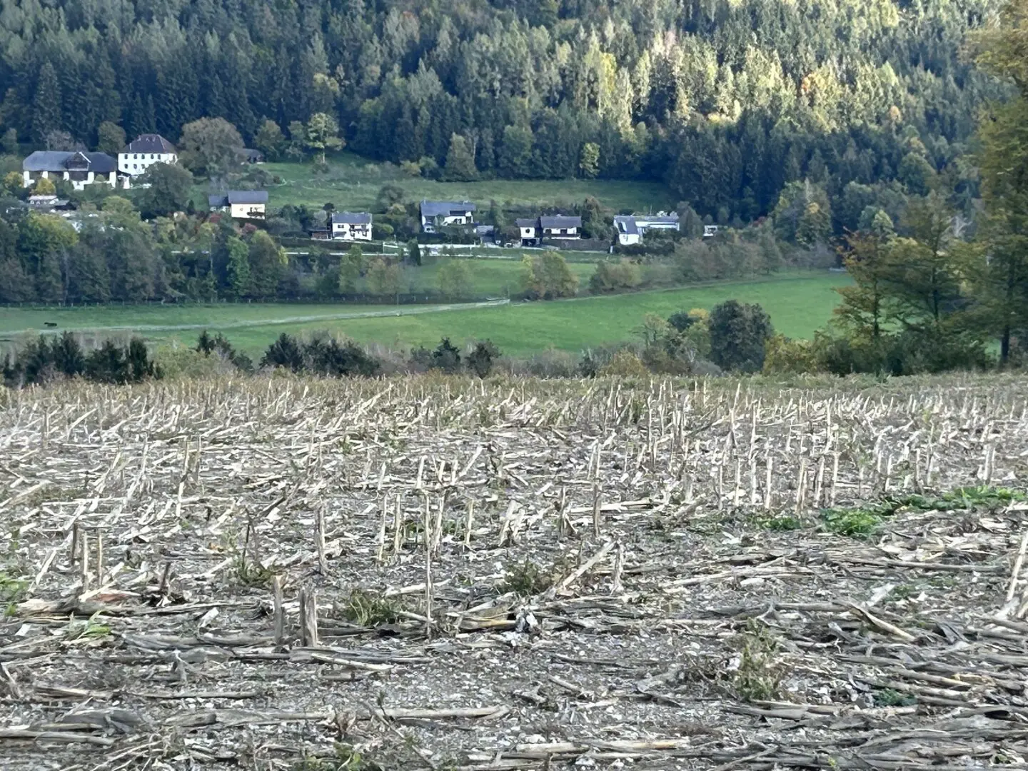 Immobilienbild 2