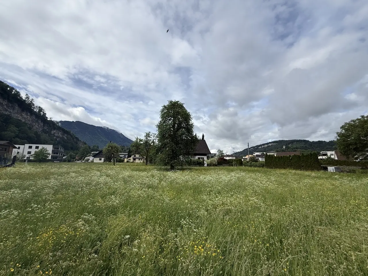 Immobilienbild 3
