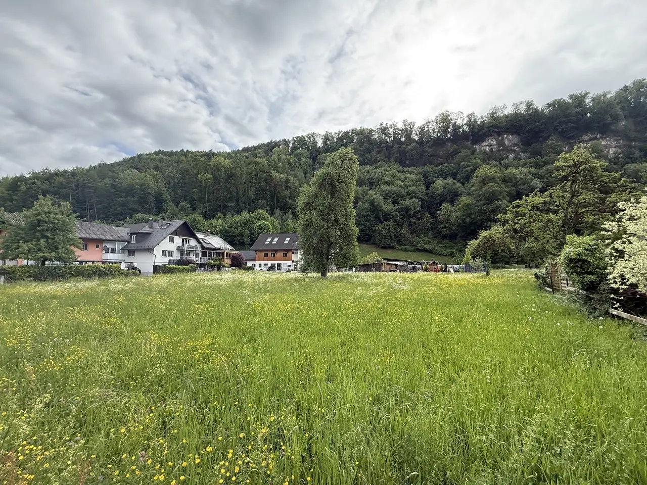 Immobilienbild 2