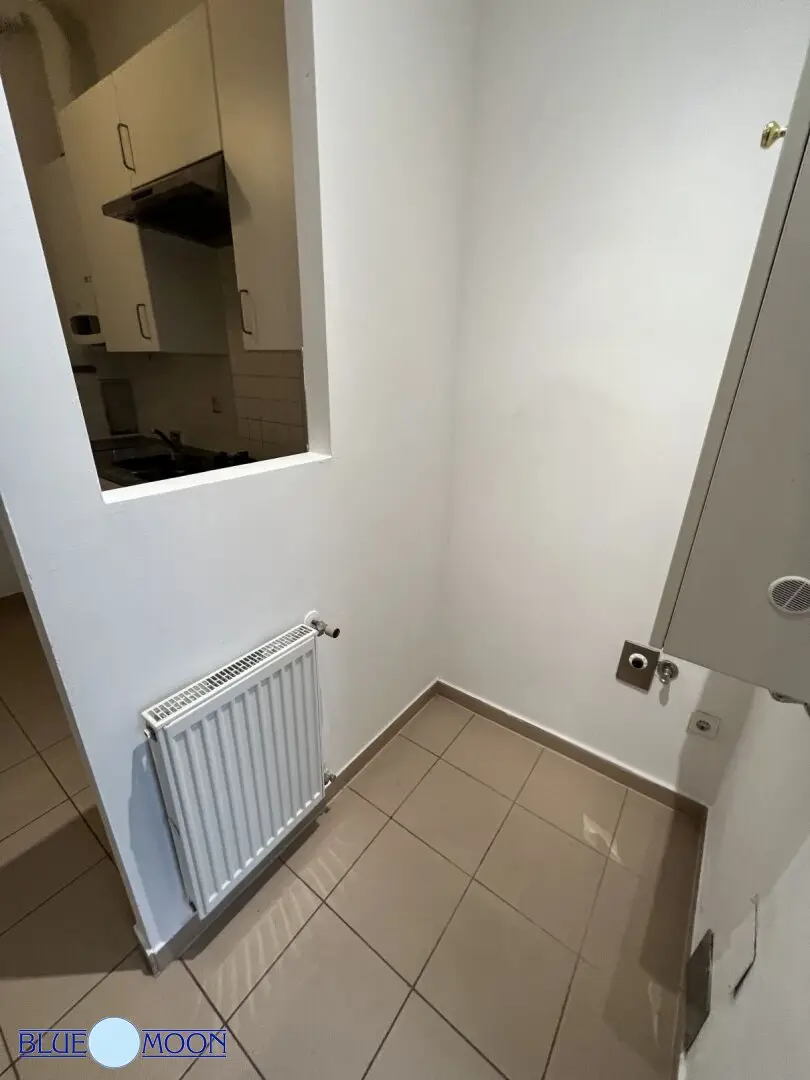 Immobilienbild 3