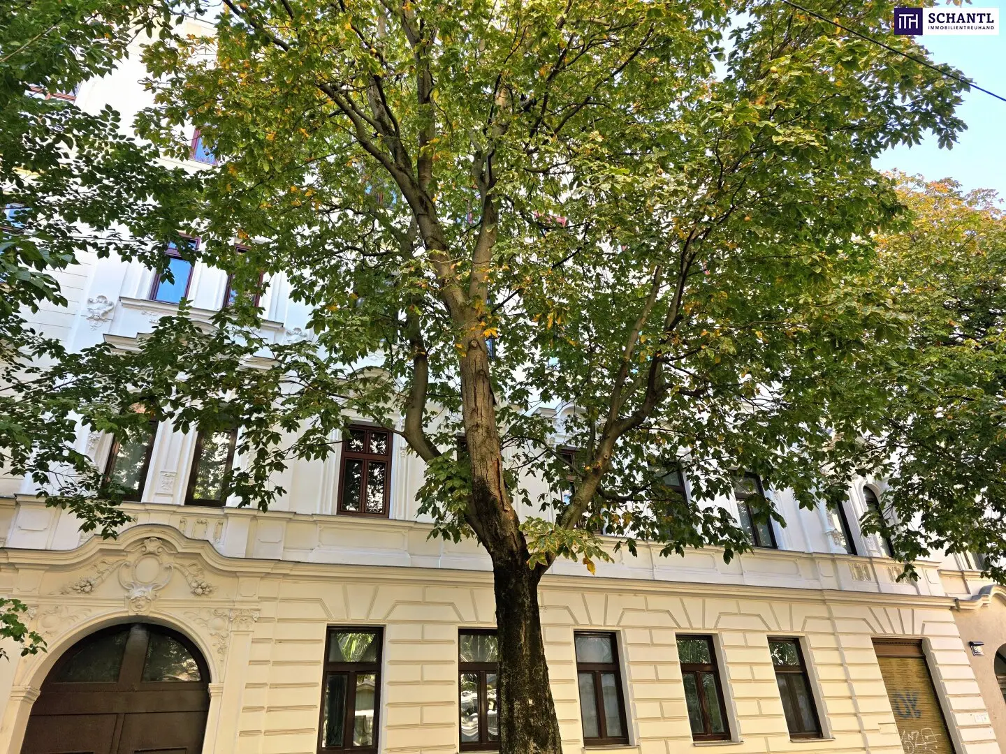 Immobilienbild 2