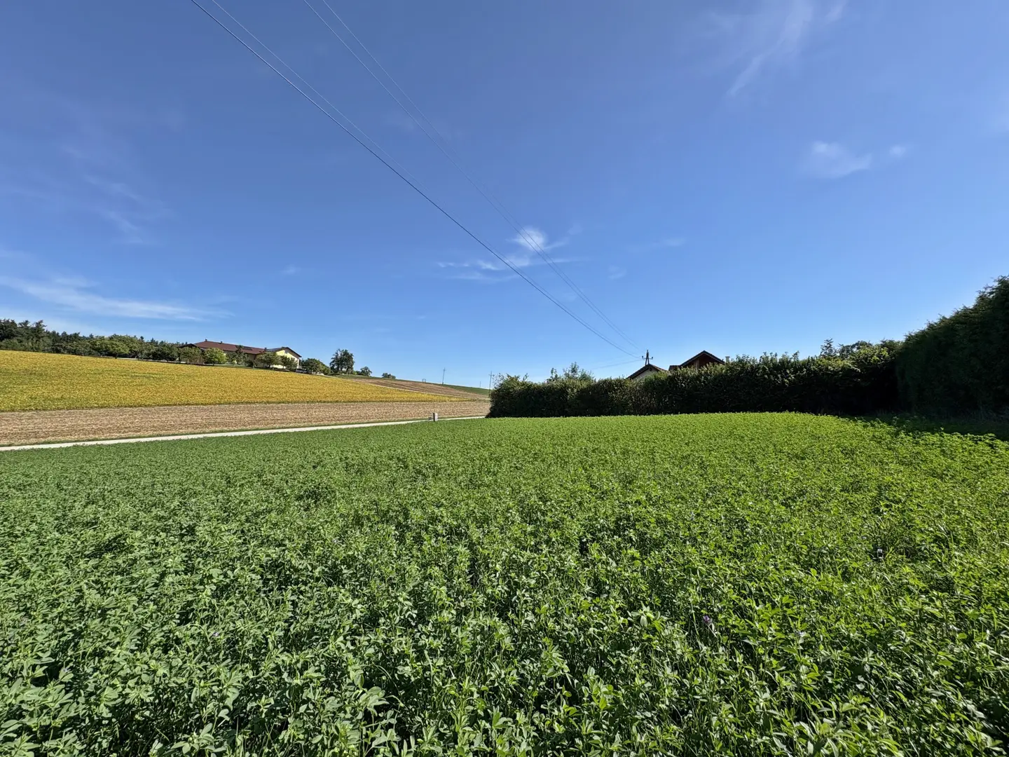 Grundstück
