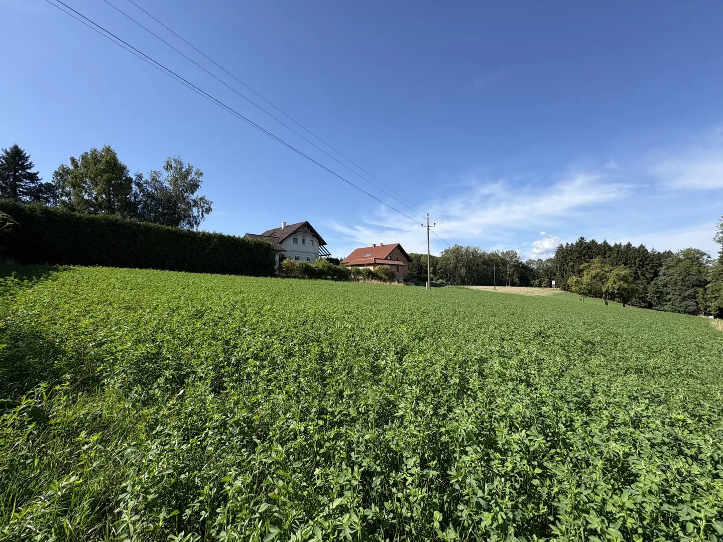 Ruhig gelegenes Baugrundstück in grüner Umgebung Wohnung