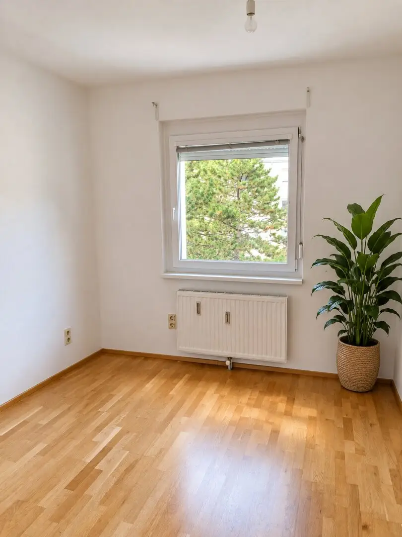 Immobilienbild 3